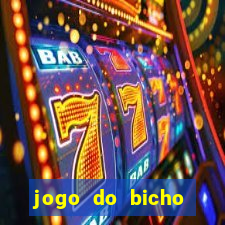 jogo do bicho crash bingo